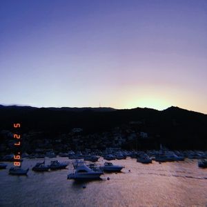 Meet your Posher, Elmer